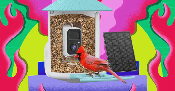 Amazon's Black Friday 2025: Unbeatable Deals on Birdfy Smart Feeders