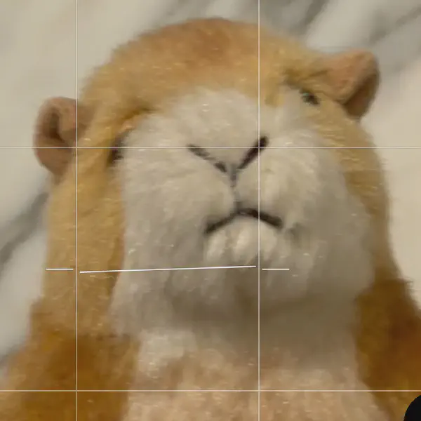 Mastering Your Smartphone Camera: Unlock iPhone & Pixel's Pro Potential